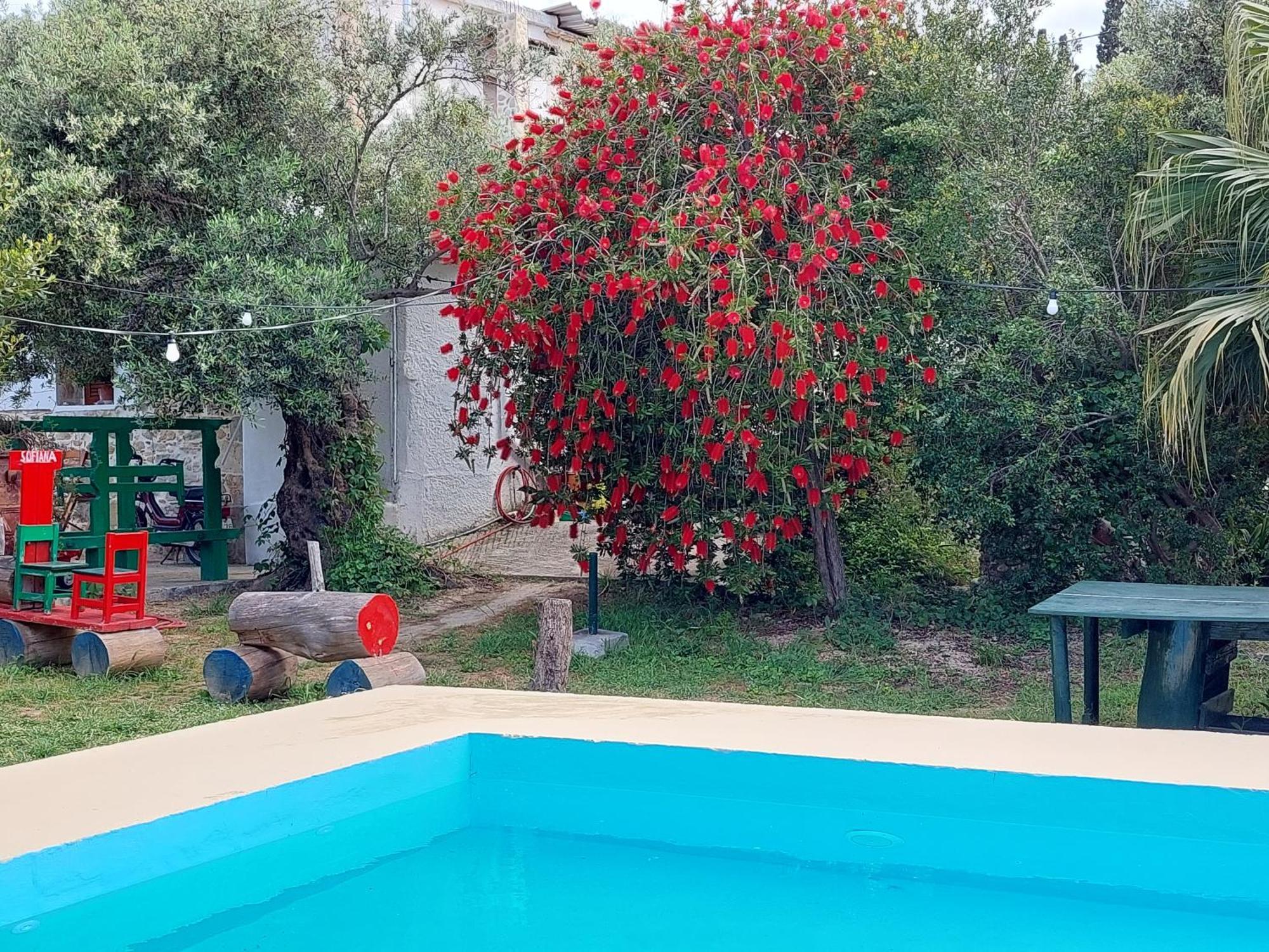 Sofiana'S Garden Retreat With Private Pool Daire Dhrapaniás Oda fotoğraf